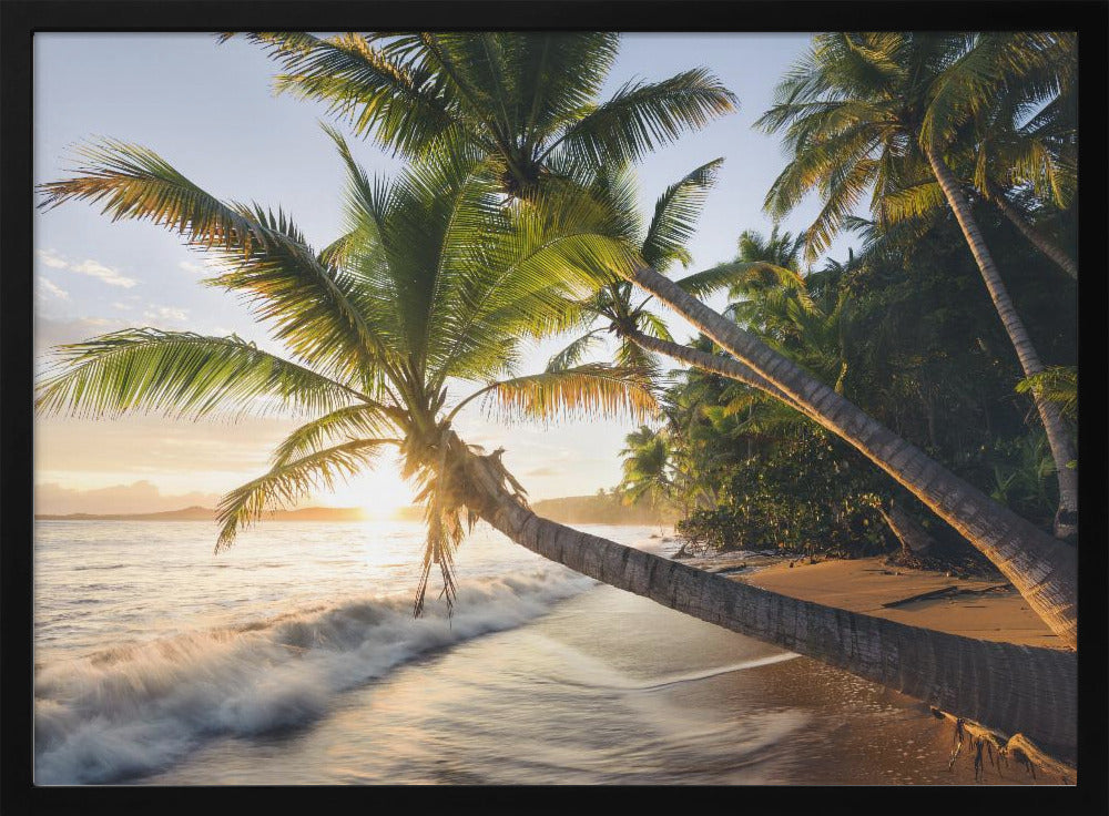 Paradise Shore | Poster