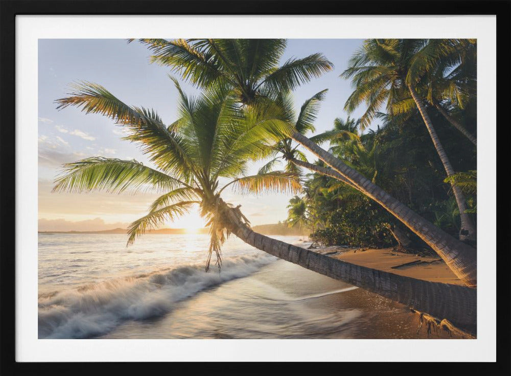 Paradise Shore | Poster