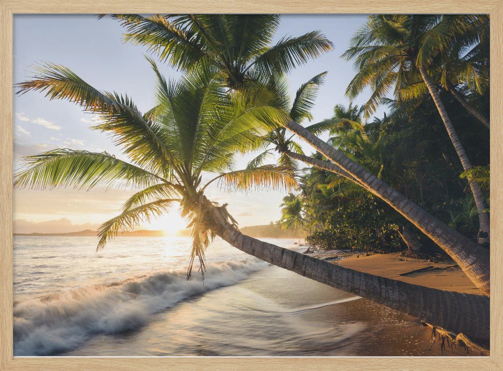 Paradise Shore | Poster