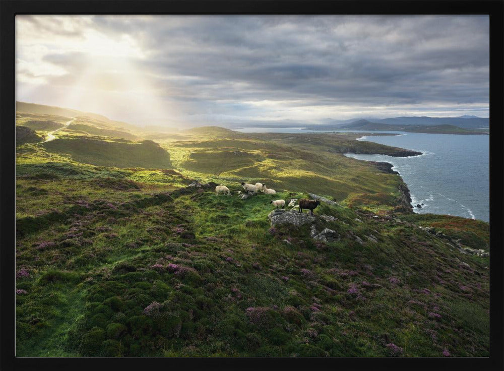 Good Morning Ireland | Poster