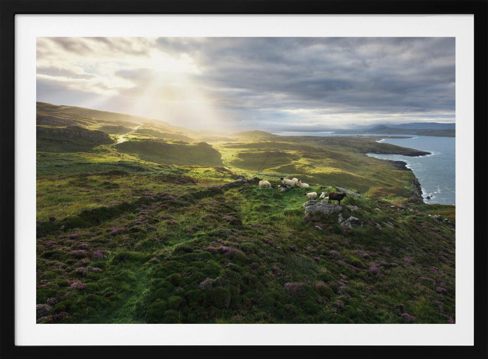 Good Morning Ireland | Poster