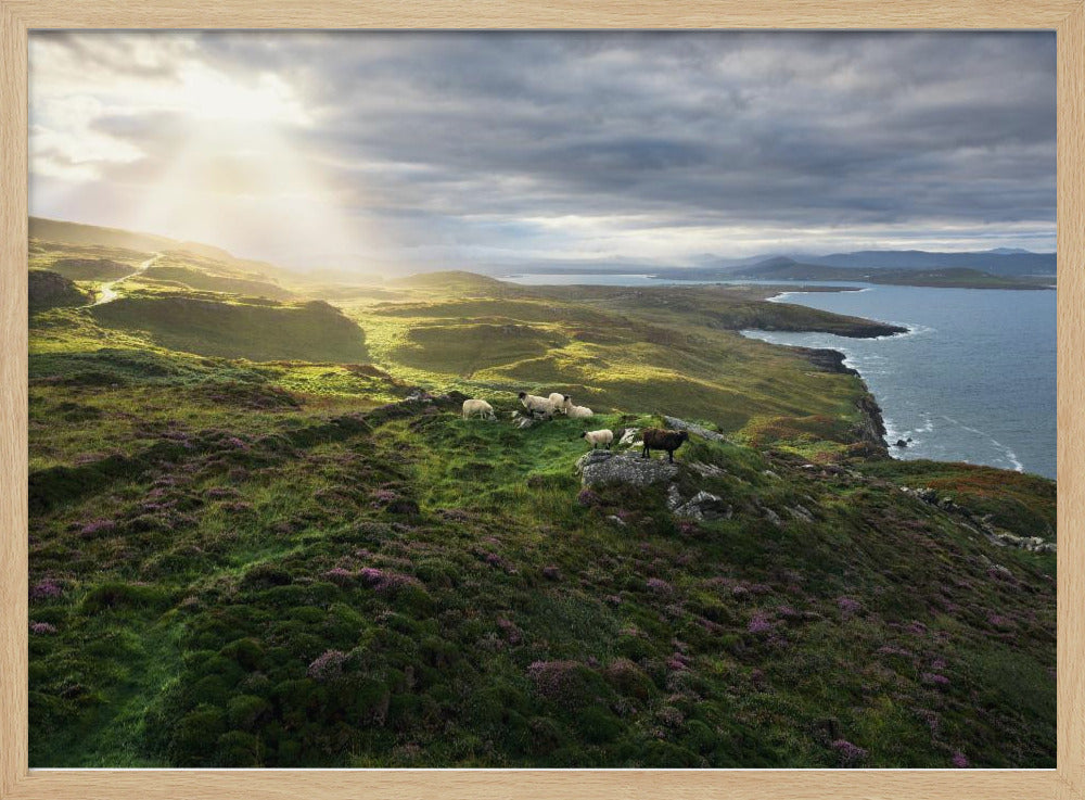 Good Morning Ireland | Poster