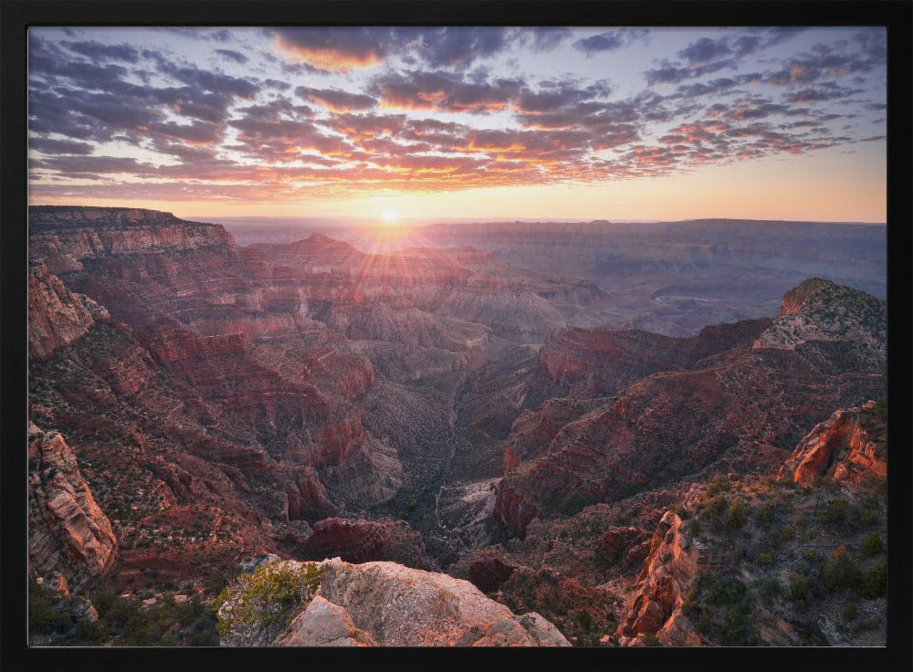 Grand Canyon View | Poster