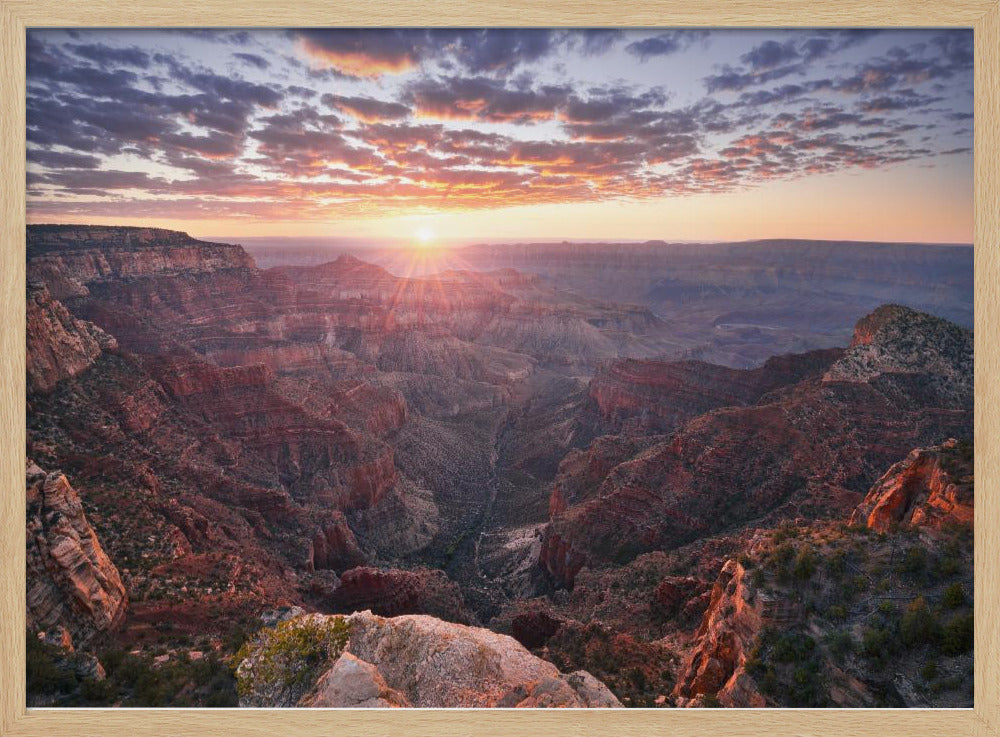 Grand Canyon View | Poster