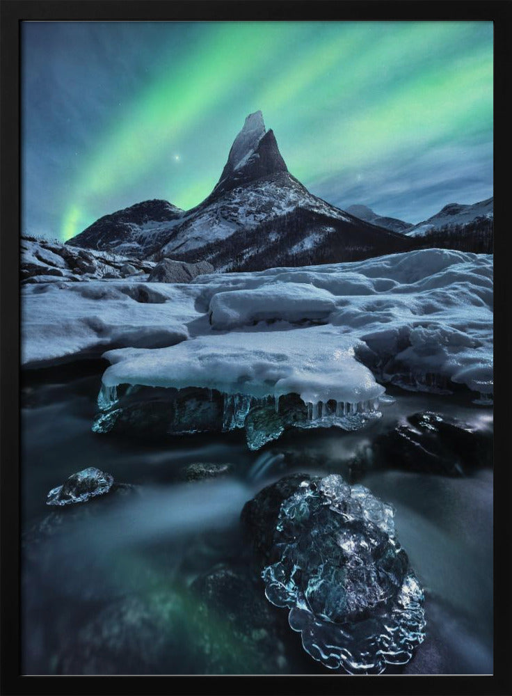 The Coronation | Poster