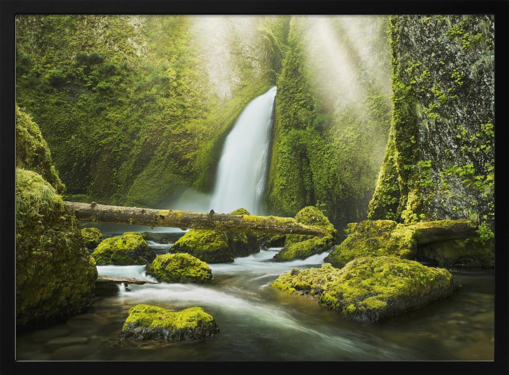 Green Gorge | Poster