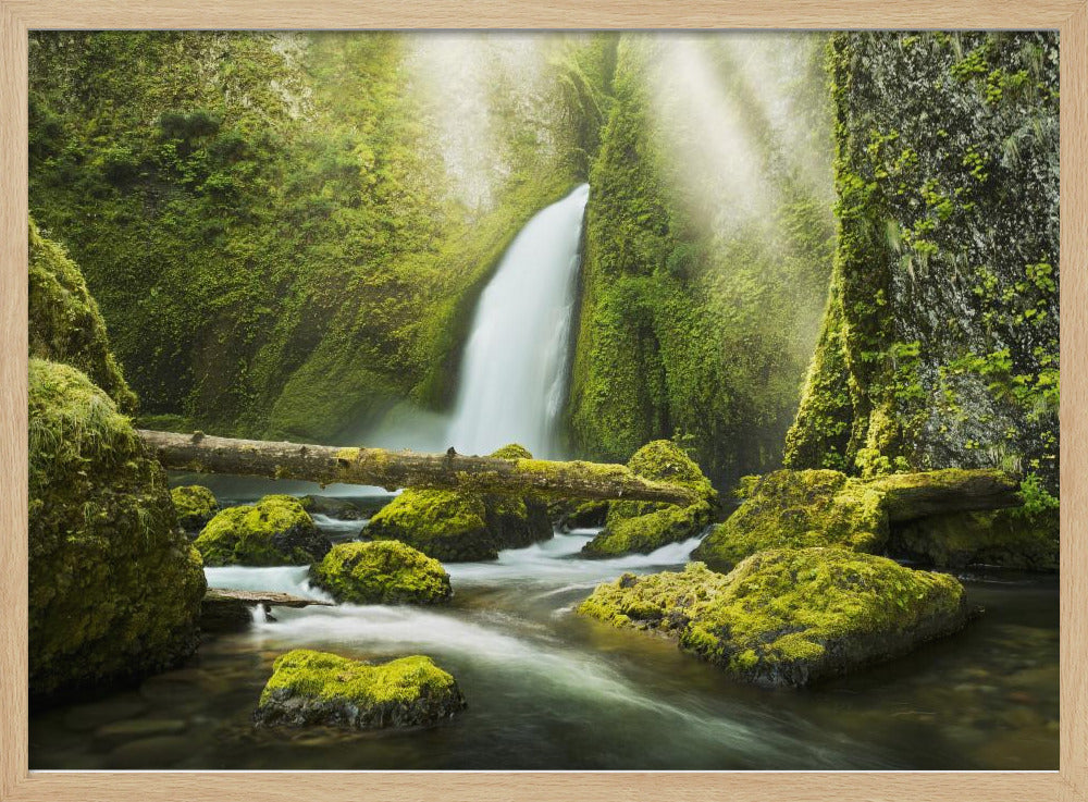 Green Gorge | Poster