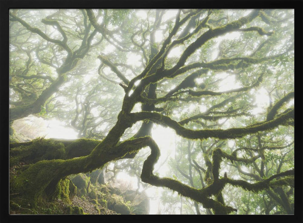 Magic Moment | Poster