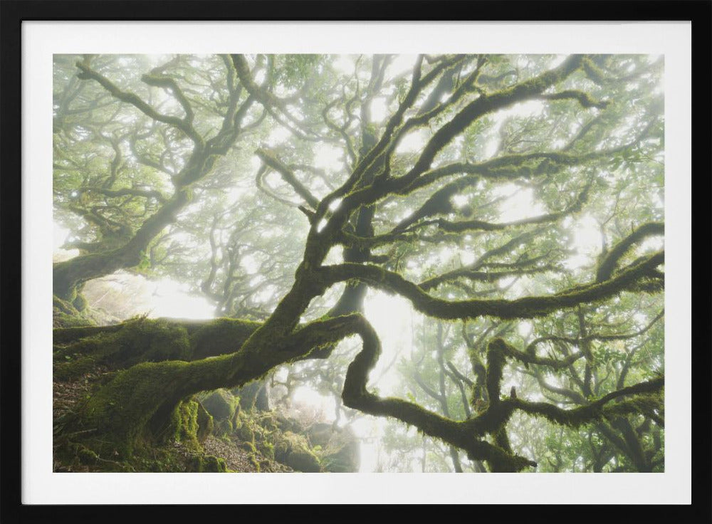 Magic Moment | Poster