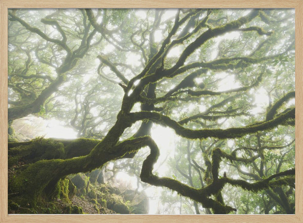 Magic Moment | Poster