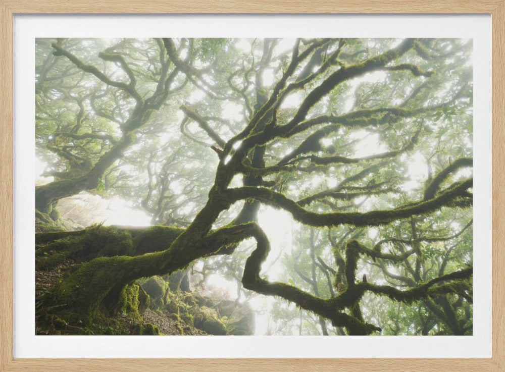 Magic Moment | Poster