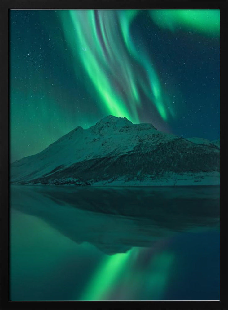 Reflecting Fairy | Poster