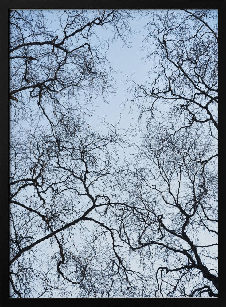 Abstract Tree | Poster