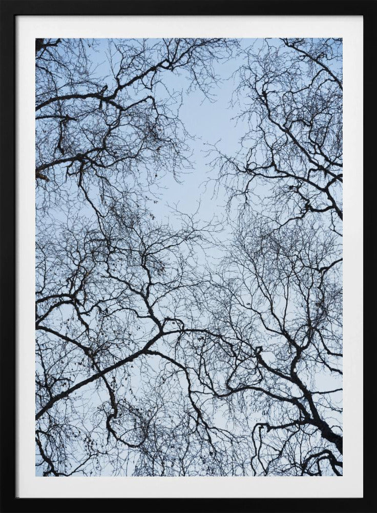 Abstract Tree | Poster