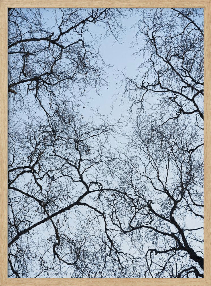 Abstract Tree | Poster
