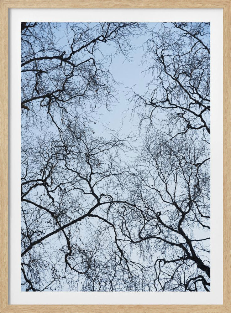 Abstract Tree | Poster
