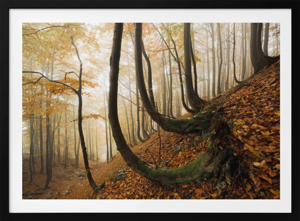 Mystic Autumn Forest | Poster