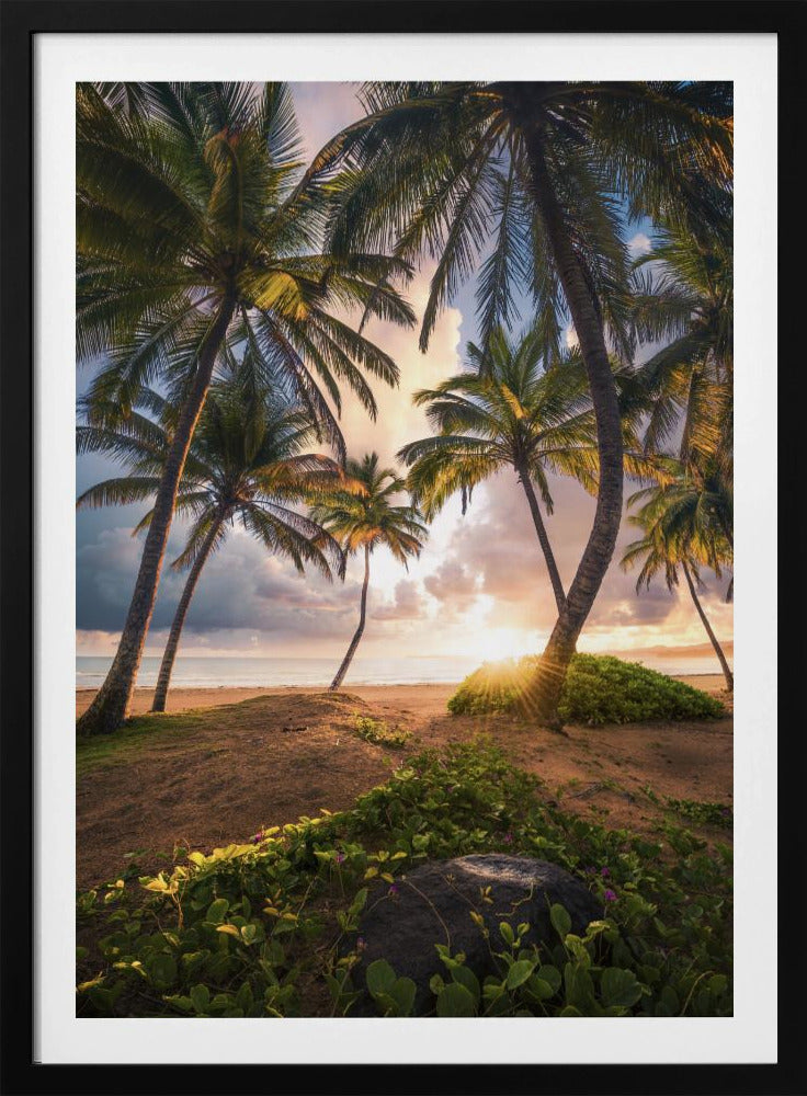 Vertical Paradise | Poster