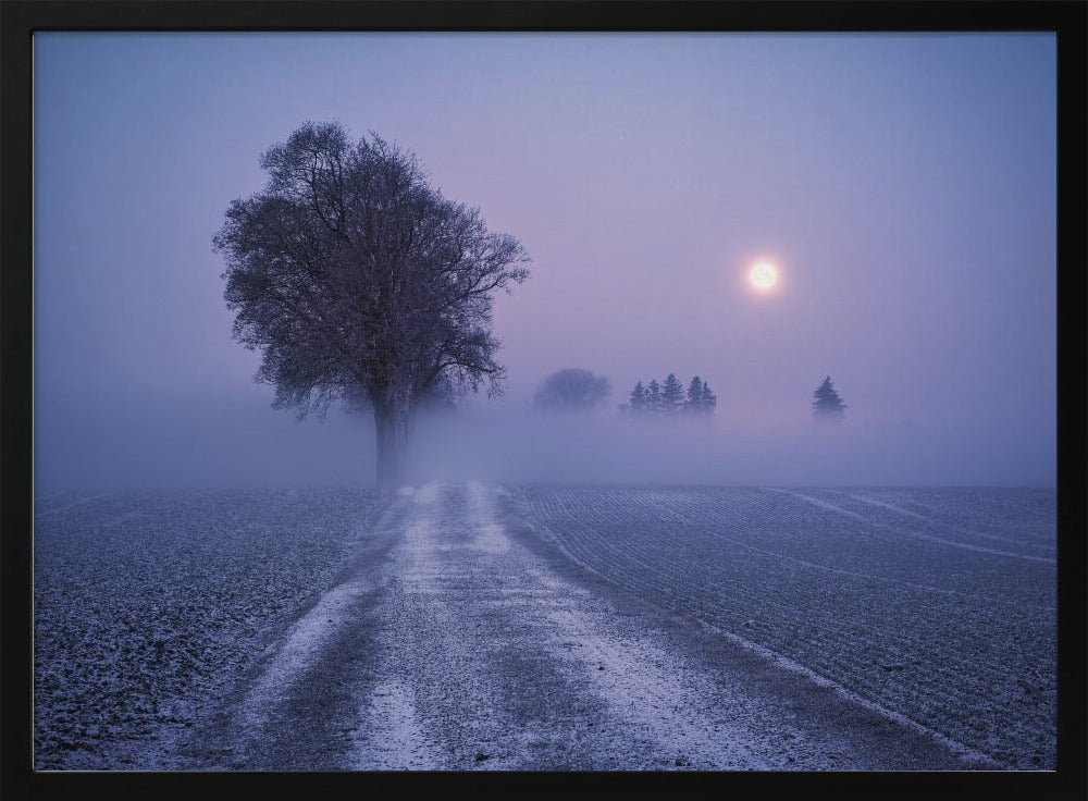 Moonlit Path | Poster