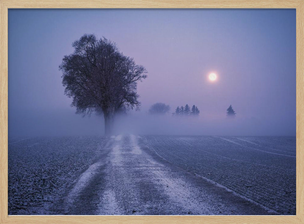 Moonlit Path | Poster