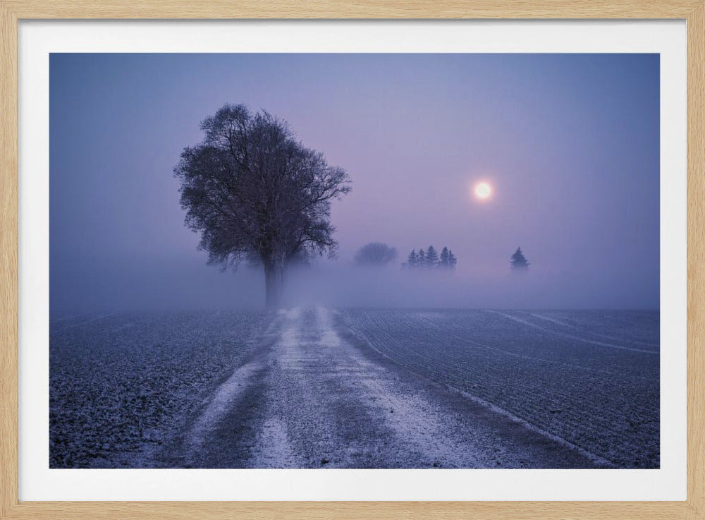 Moonlit Path | Poster