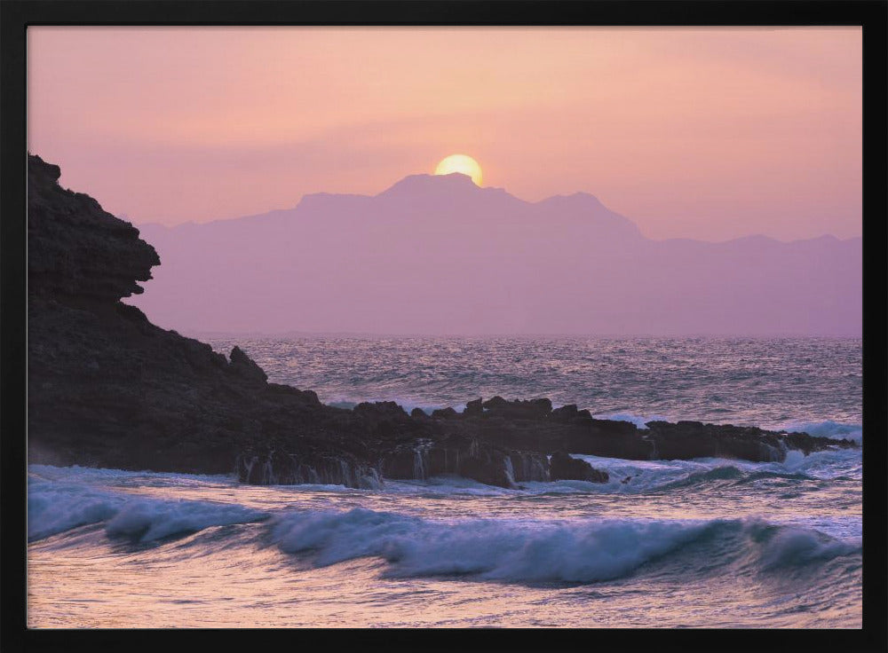 Purple Morning | Poster