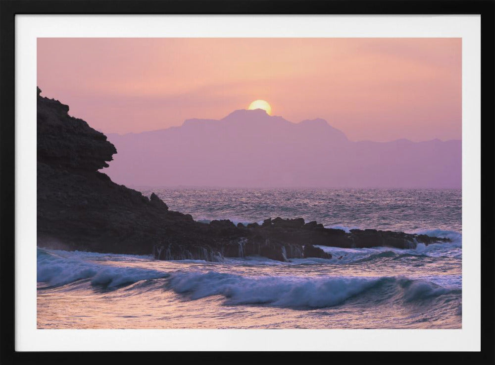 Purple Morning | Poster