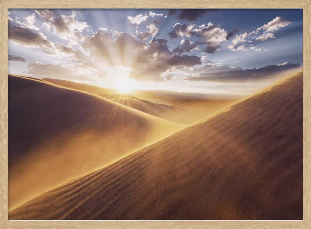 Gently Touched | Poster