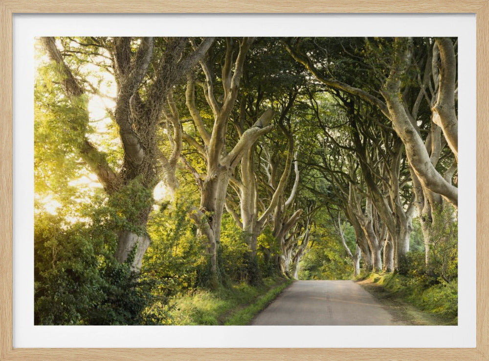 Golden Alley | Poster