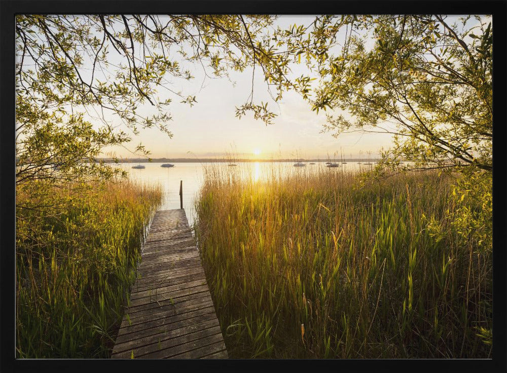 Golden Jetty | Poster