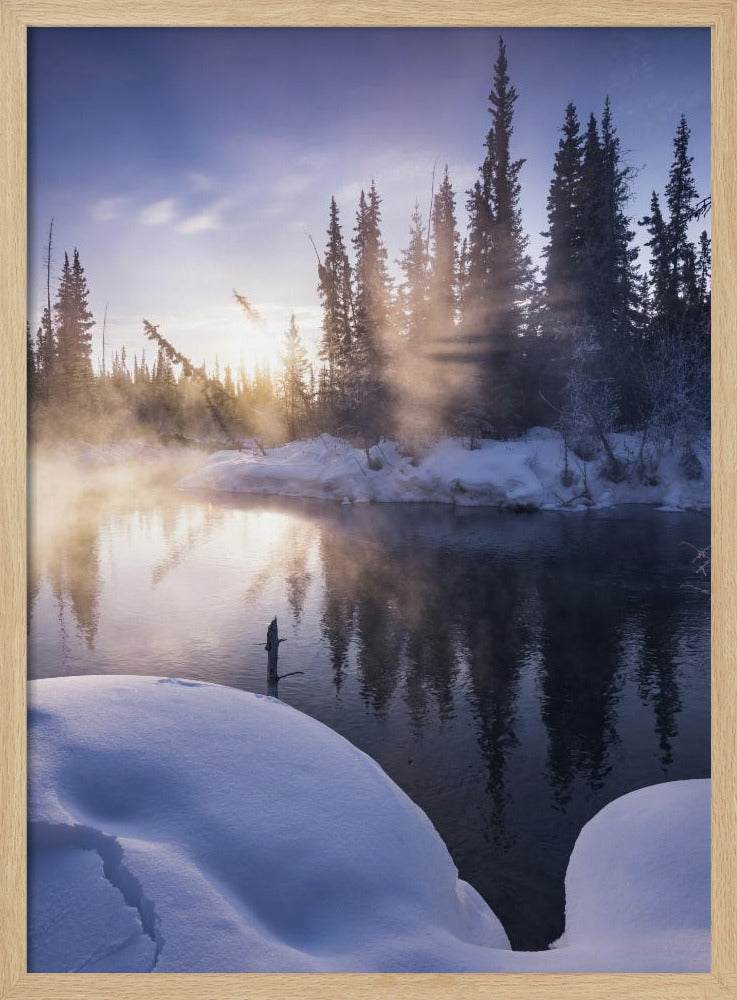 Alaskan Winter | Poster