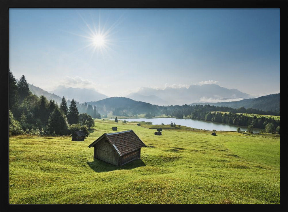 Summer Meadow | Poster