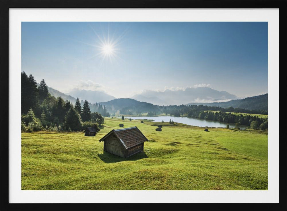 Summer Meadow | Poster