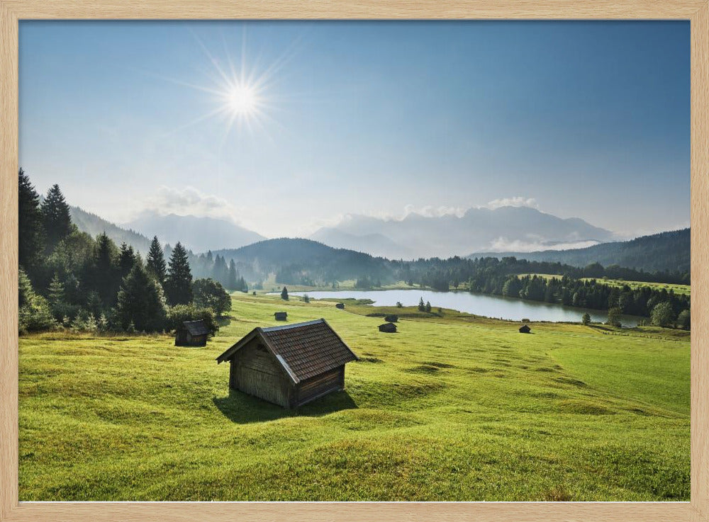 Summer Meadow | Poster