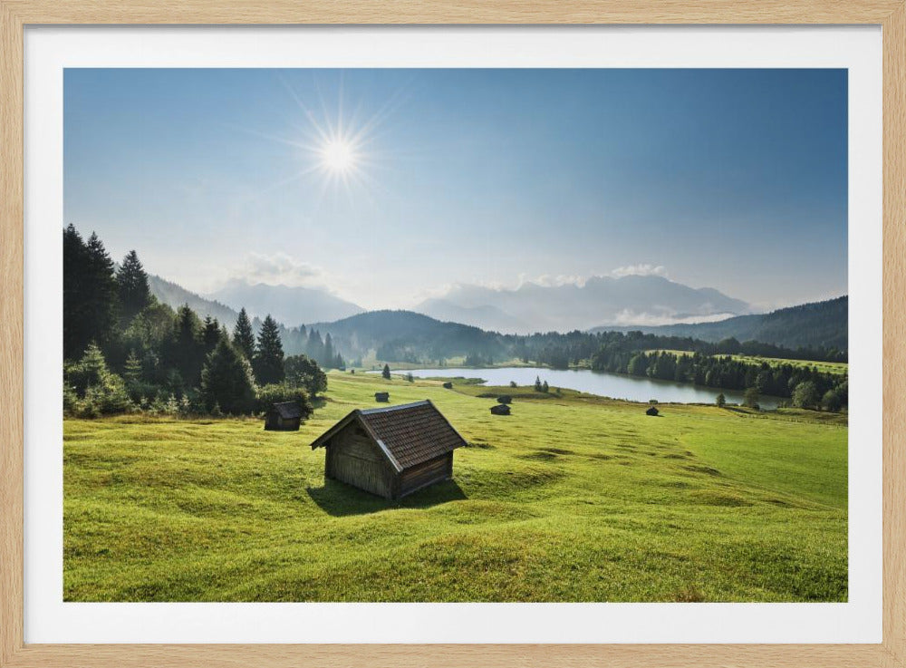 Summer Meadow | Poster