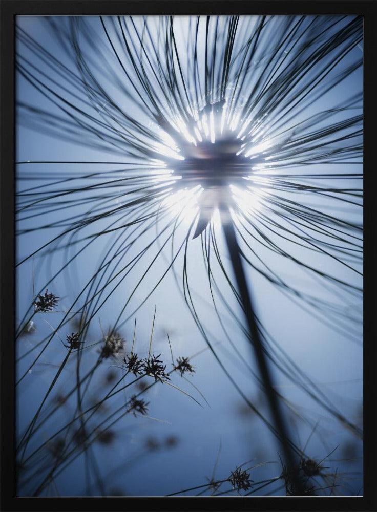 Botanic Blue | Poster