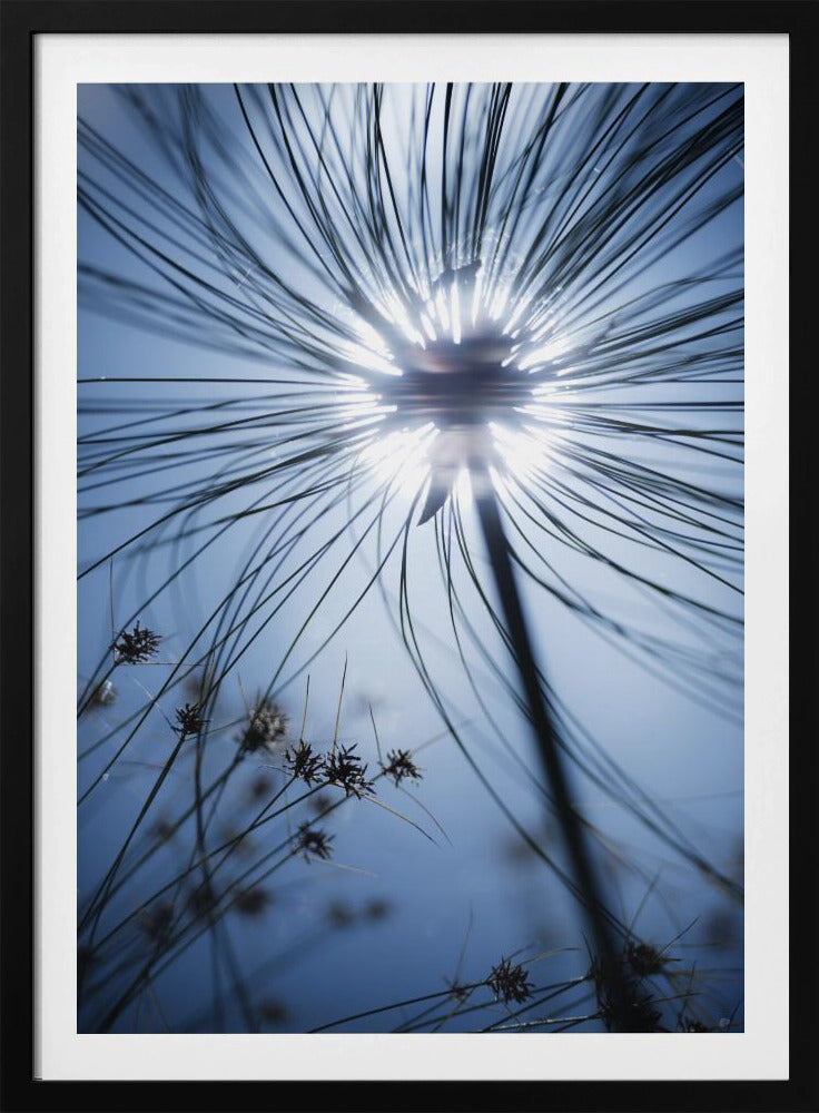 Botanic Blue | Poster