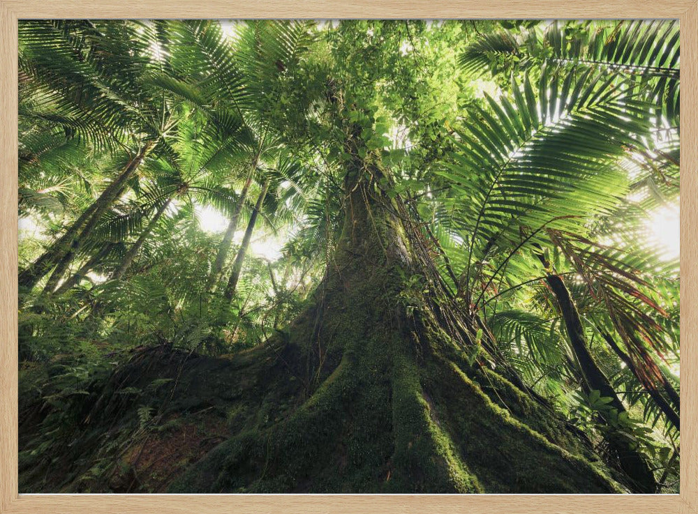 Walking in the Jungle | Poster