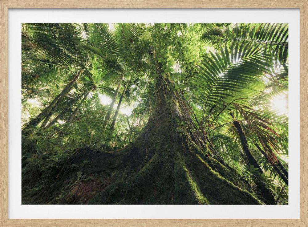 Walking in the Jungle | Poster