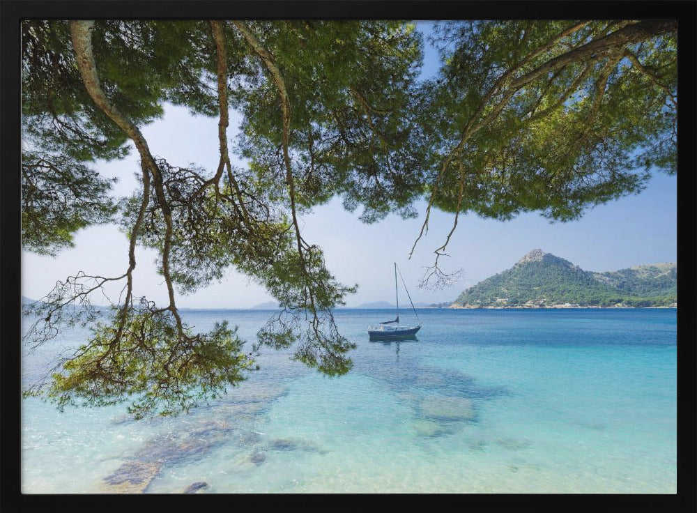 Dreaming of the Sea | Poster