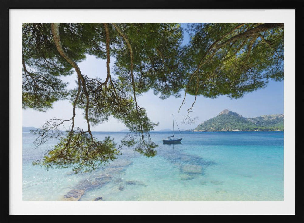 Dreaming of the Sea | Poster