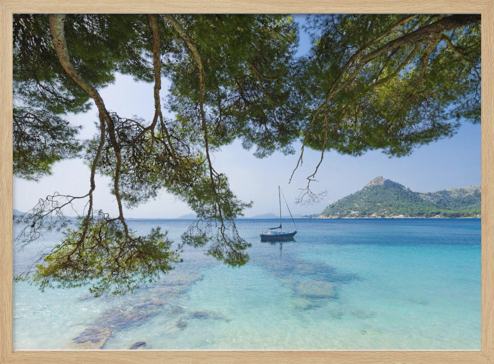 Dreaming of the Sea | Poster