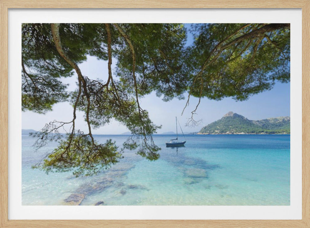 Dreaming of the Sea | Poster