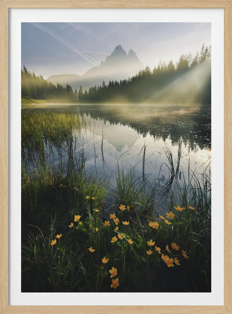 Mountain Paradise | Poster