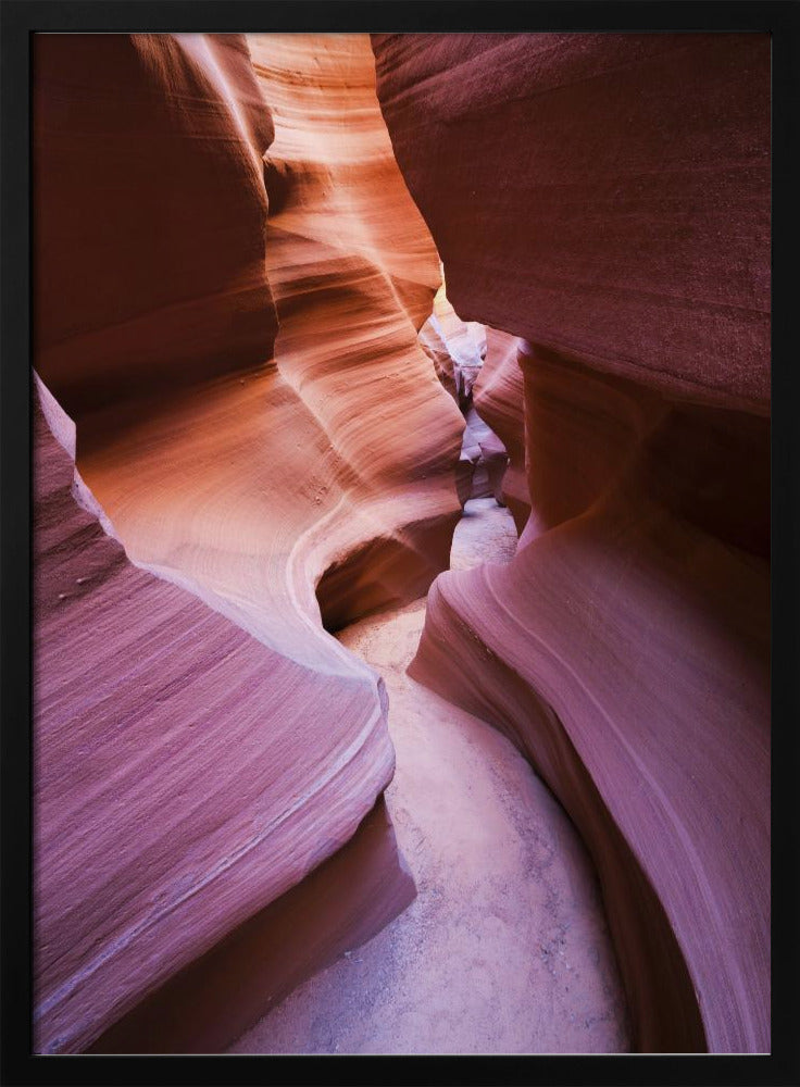 Purple Canyon | Poster