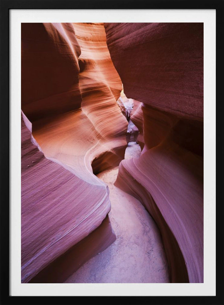 Purple Canyon | Poster