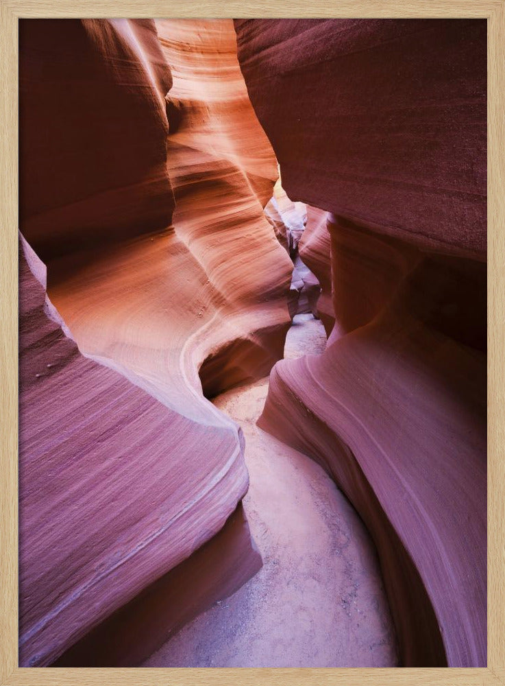 Purple Canyon | Poster