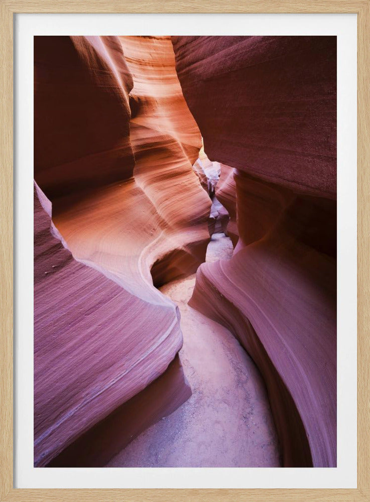 Purple Canyon | Poster