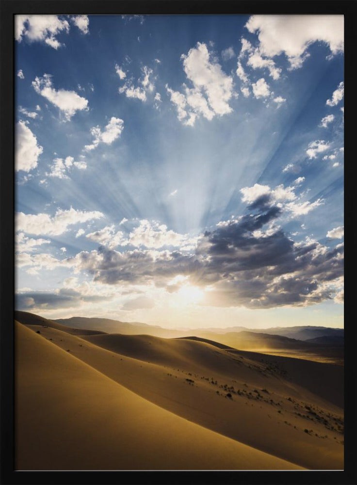 Desert Rays | Poster