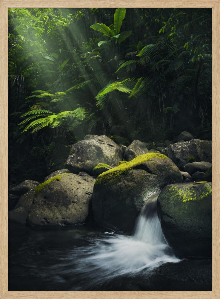 Mystic Jungle | Poster